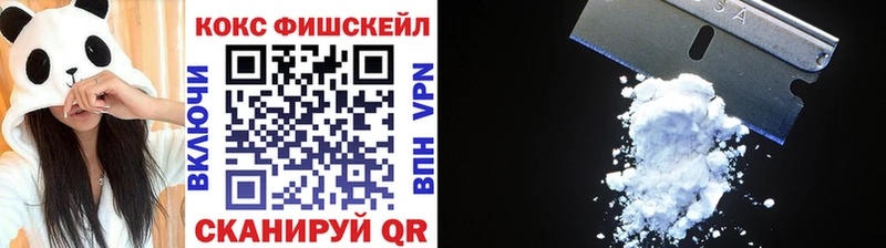 КОКАИН Fish Scale  сайты даркнета телеграм  Сокол 