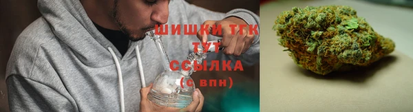 трава Абаза