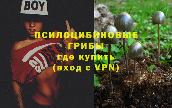 spice Абдулино